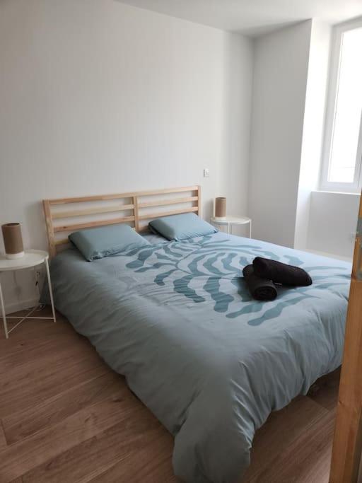 Apartament Le Maillot IV Castres  Zewnętrze zdjęcie